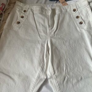 NWT Loft plus size 18